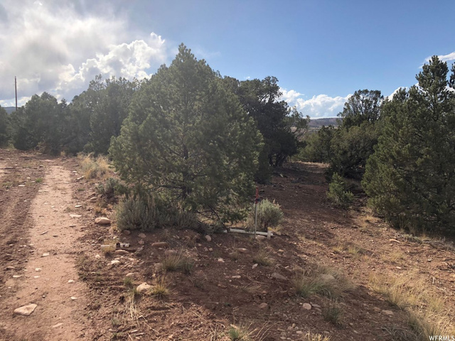 #4, Fruitland, UT 84027 — photo 5