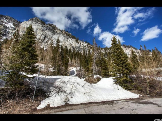 9741 E Hellgate Rd #2, Alta, UT 84092 — photo 3