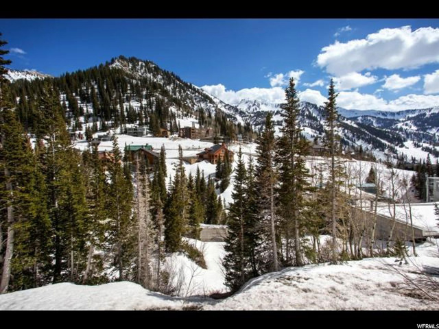 9741 E Hellgate Rd #2, Alta, UT 84092 — photo 5
