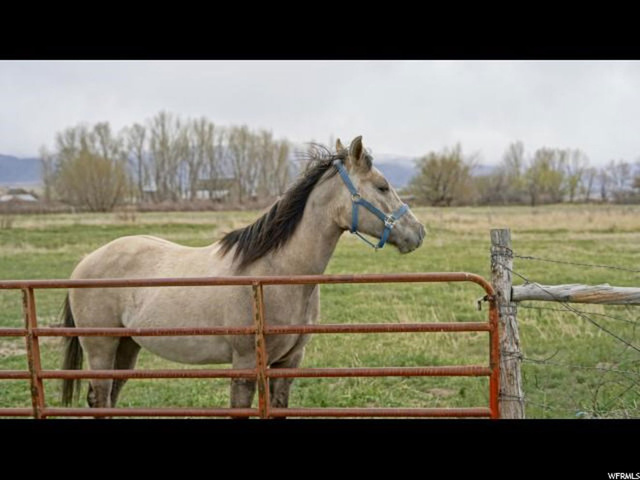 Moroni, UT 84646 — photo 11