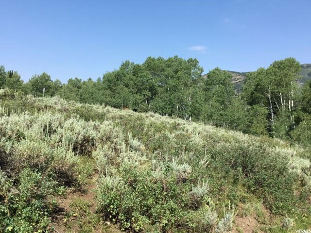 630 Conifer #630, Oakley, UT 84055 — photo 4