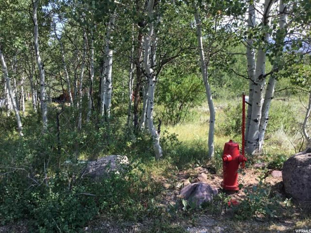 630 Conifer #630, Oakley, UT 84055 — photo 3
