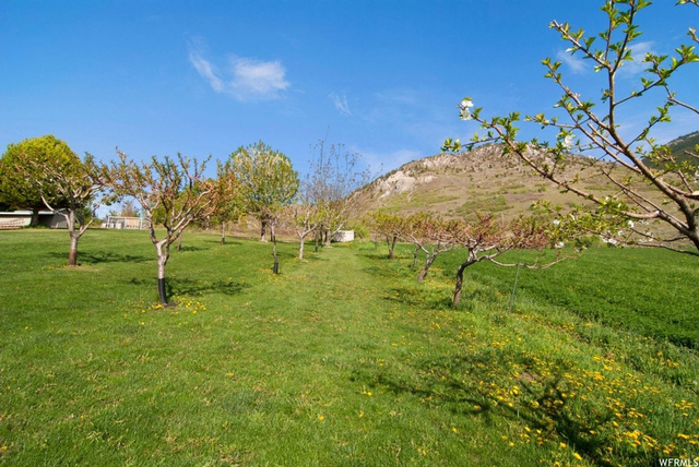 1205 E 2325 N, North Ogden, UT 84414 — photo 9