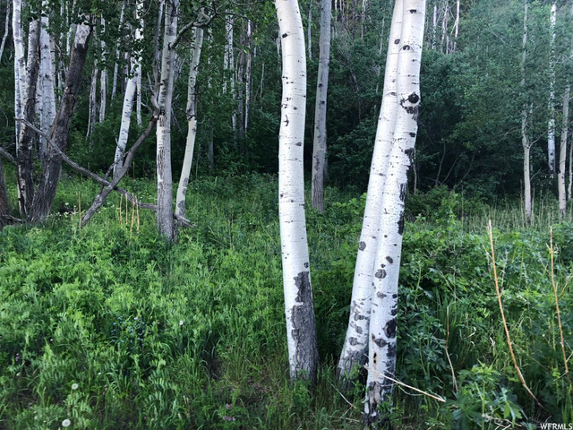 #31, Tabiona, UT 84072 — photo 4