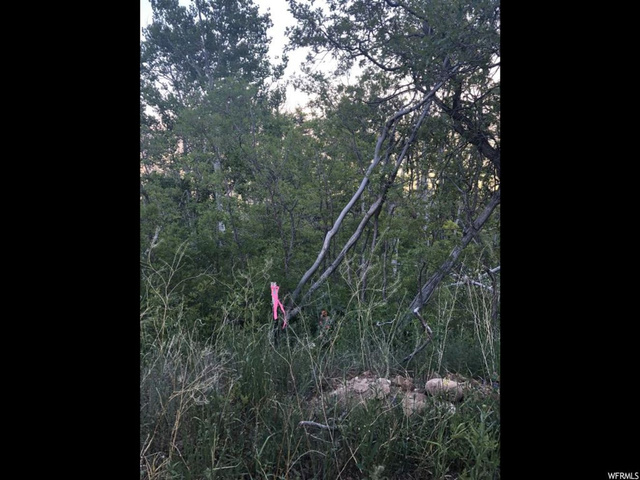 #31, Tabiona, UT 84072 — photo 5