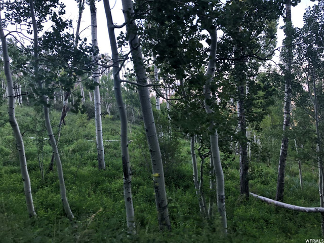 #31, Tabiona, UT 84072 — photo 7
