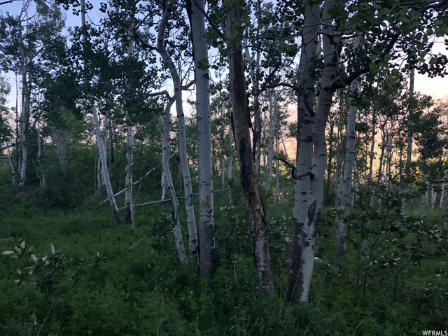 #31, Tabiona, UT 84072 — photo 8