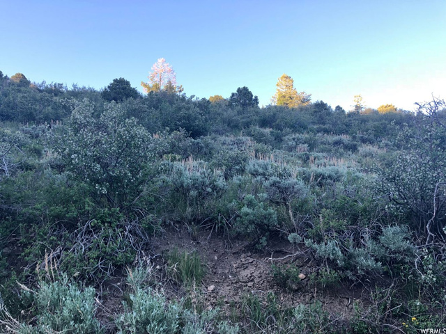 #31, Tabiona, UT 84072 — photo 2