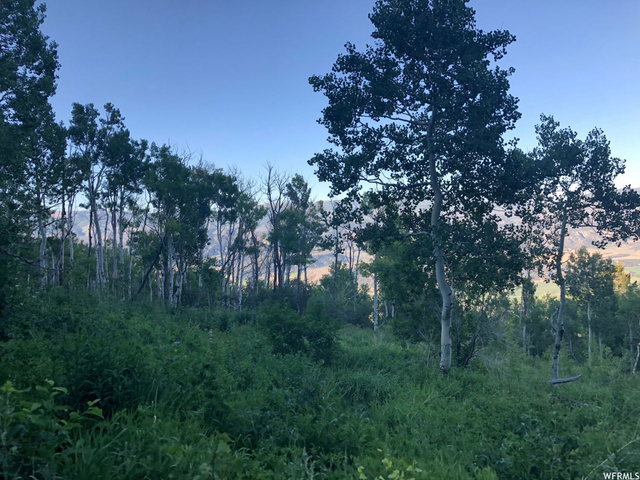 #31, Tabiona, UT 84072 — photo 9