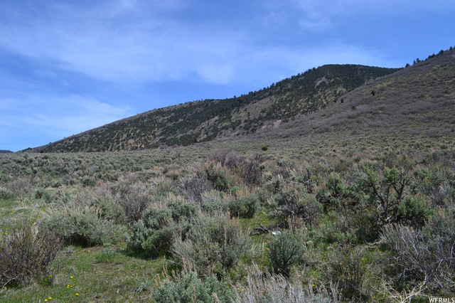 4594 N Sunset Rd E, Oakley, UT 84055 — photo 4
