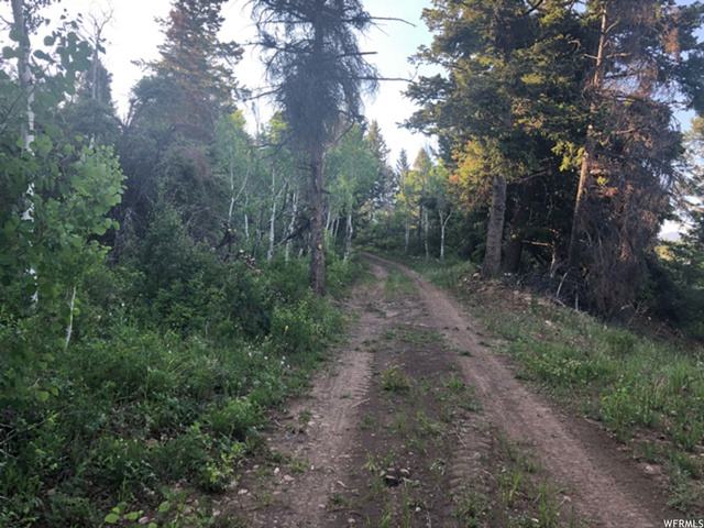 #35, Tabiona, UT 84072 — photo 9