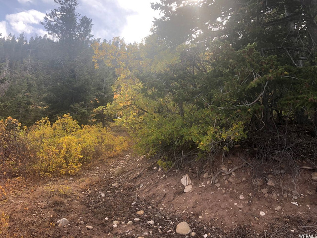 #35, Tabiona, UT 84072 — photo 4