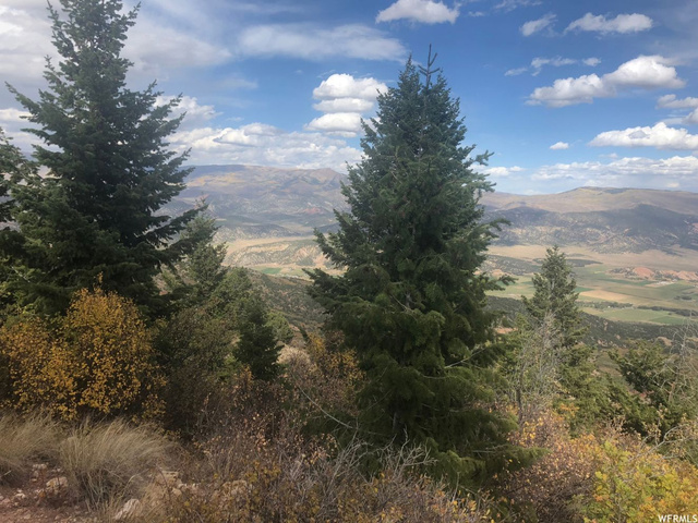 #35, Tabiona, UT 84072 — photo 5