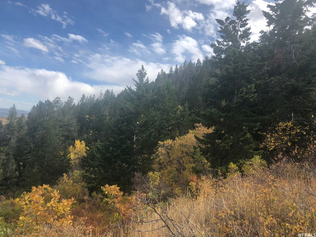 #35, Tabiona, UT 84072 — photo 7