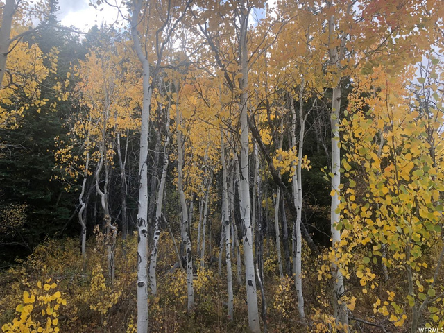 #35, Tabiona, UT 84072 — photo 3