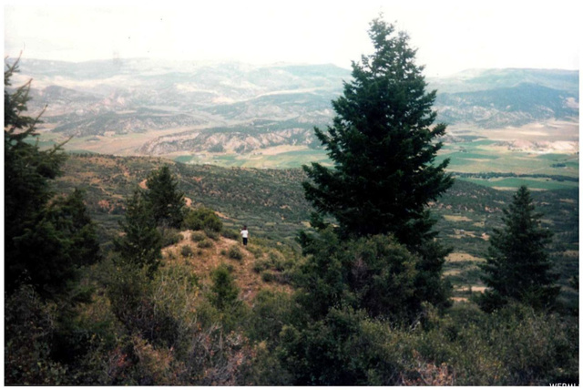 #35, Tabiona, UT 84072 — photo 12