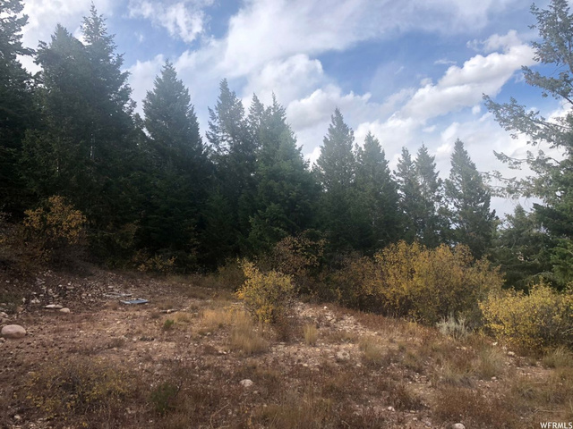 #35, Tabiona, UT 84072 — photo 8