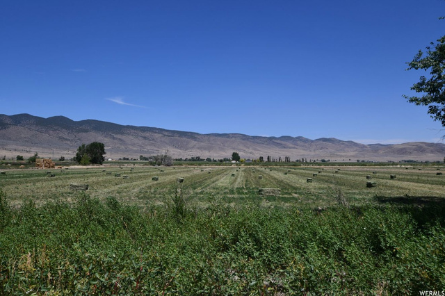 98 N 200 E, Joseph, UT 84739 — photo 3