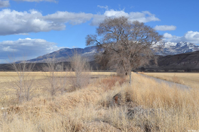 98 N 200 E, Joseph, UT 84739 — photo 9