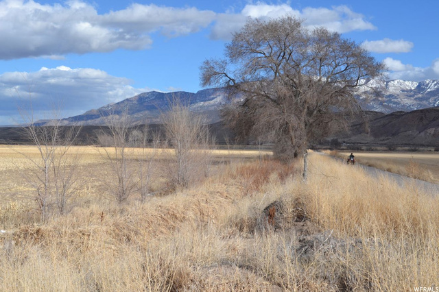 98 N 200 E, Joseph, UT 84739 — photo 11