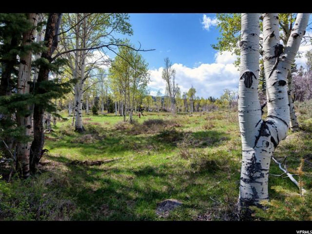 #28, Virgin, UT 84779 — photo 7