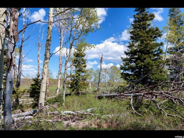 #28, Virgin, UT 84779 — photo 6