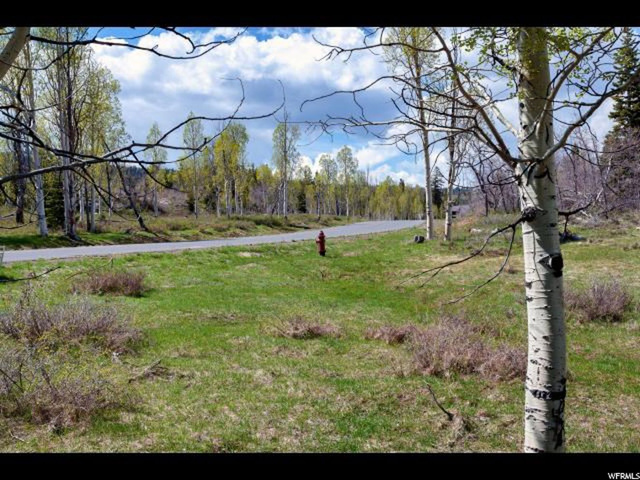 #28, Virgin, UT 84779 — photo 5