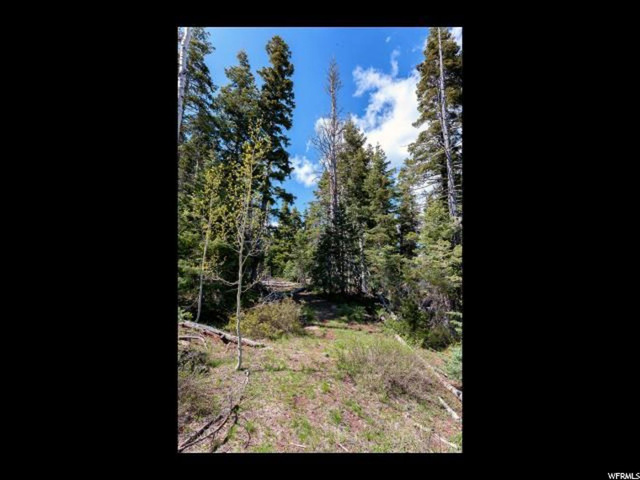 #76, Virgin, UT 84779 — photo 5