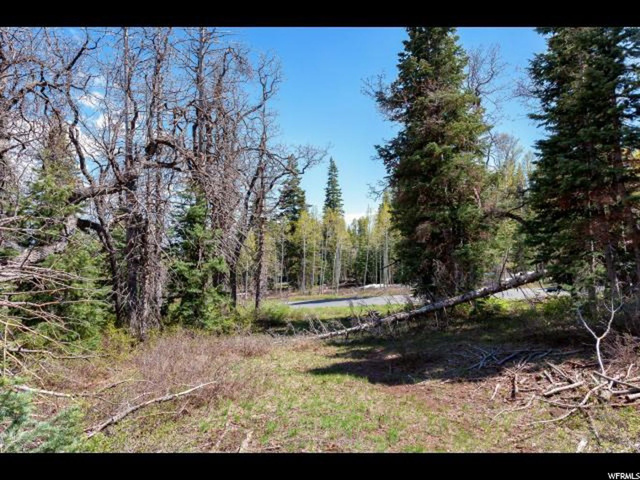 #76, Virgin, UT 84779 — photo 6