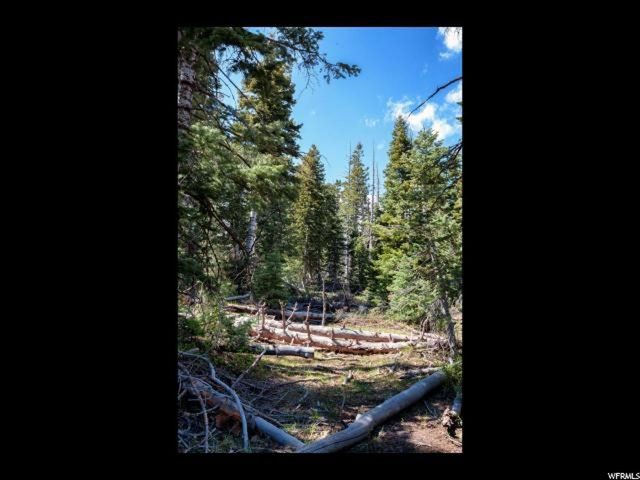 #76, Virgin, UT 84779 — photo 7