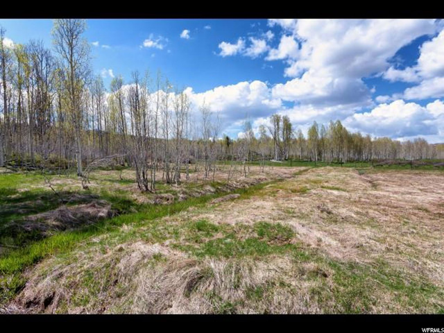 #38, Virgin, UT 84779 — photo 5