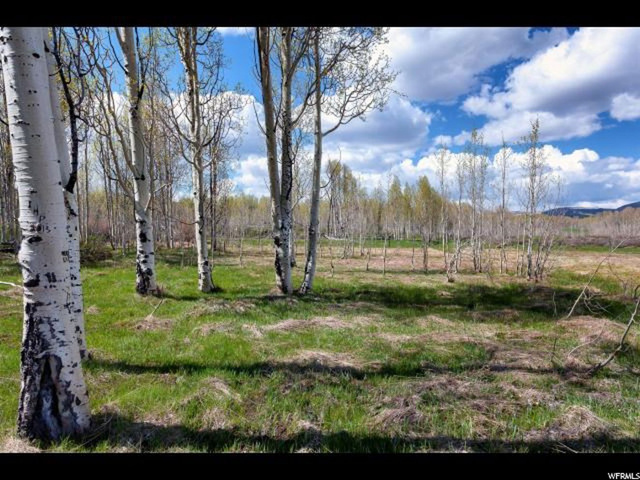 #38, Virgin, UT 84779 — photo 3