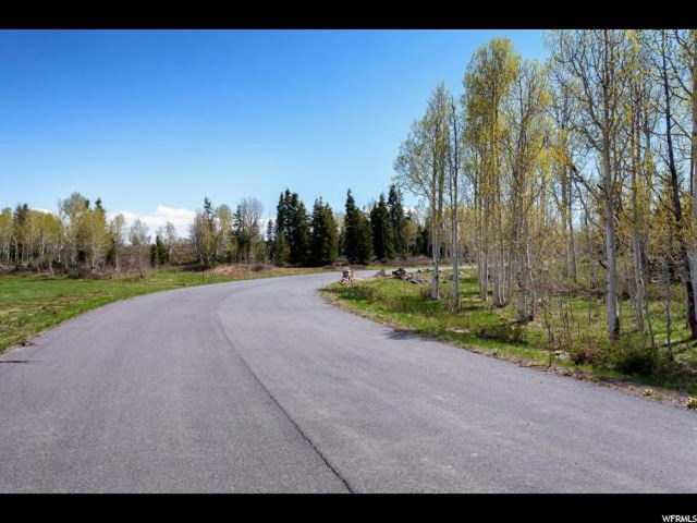 #38, Virgin, UT 84779 — photo 11