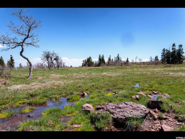 #6, Virgin, UT 84779 — photo 6