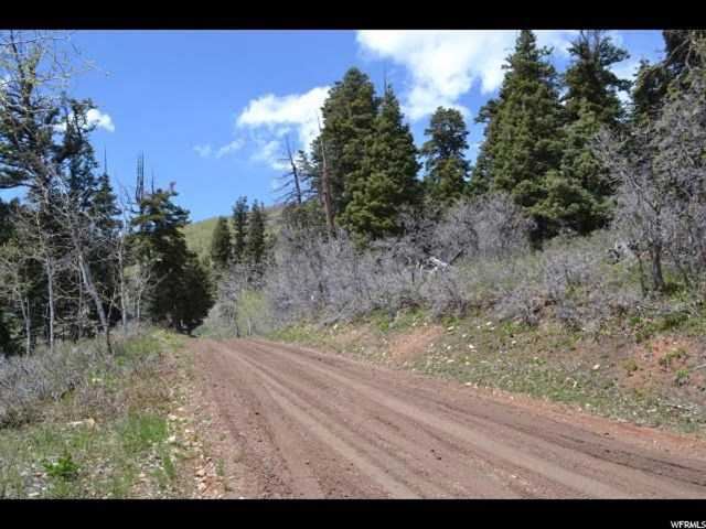 2044 Elk Rd, Wanship, UT 84017 — photo 5