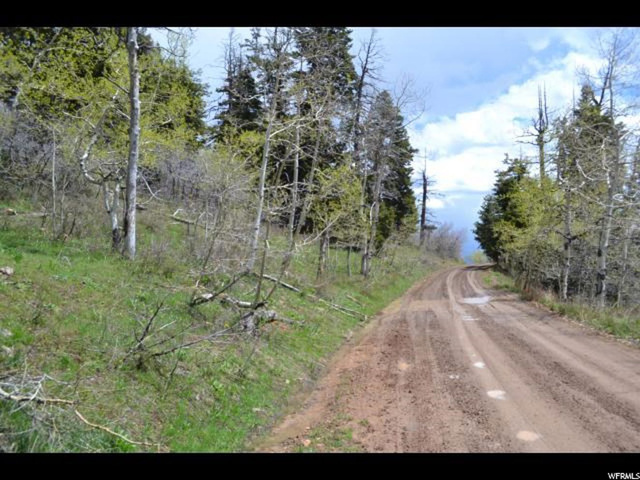 2044 Elk Rd, Wanship, UT 84017 — photo 4