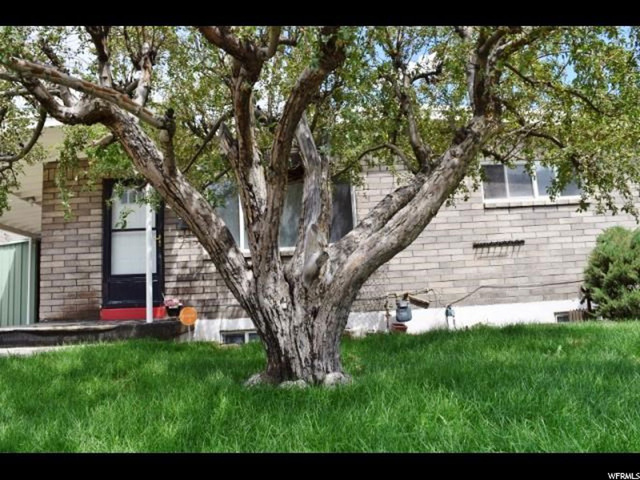 13 S 3rd Ave, Helper, UT 84526 — photo 4