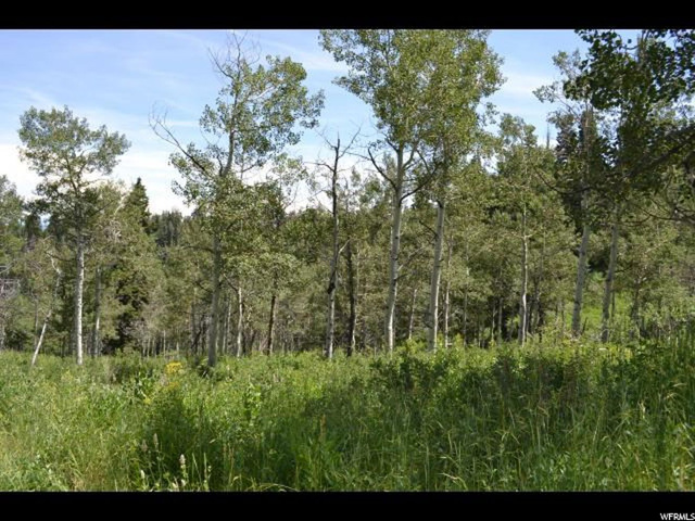 2103 Pine Loop #F42, Wanship, UT 84017 — photo 5