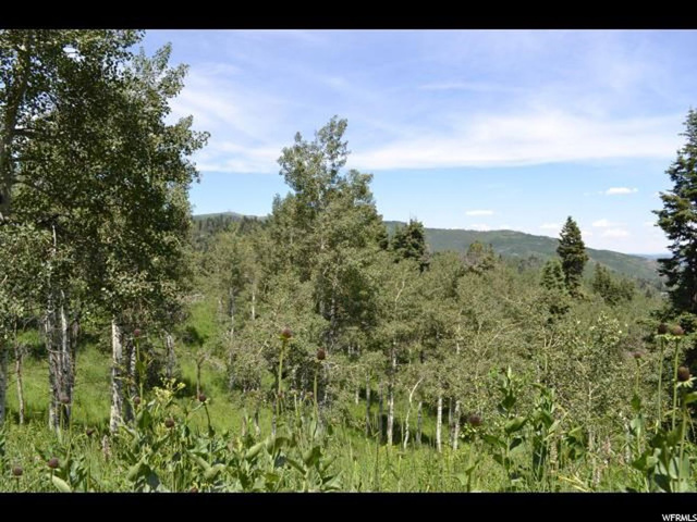 2103 Pine Loop #F42, Wanship, UT 84017 — photo 3