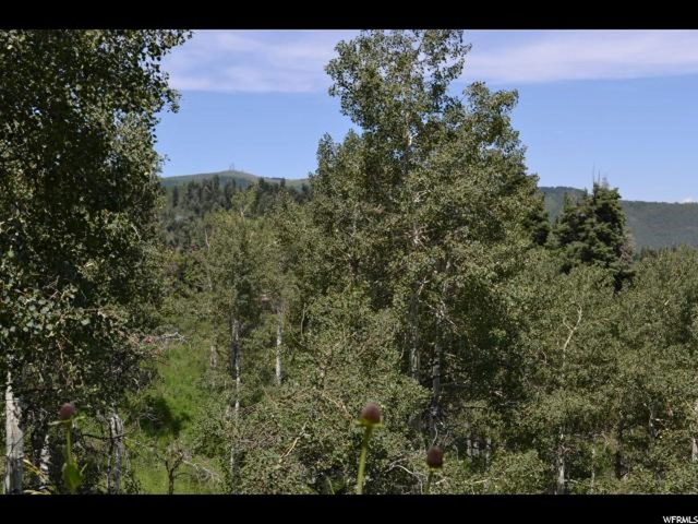 2103 Pine Loop #F42, Wanship, UT 84017 — photo 2