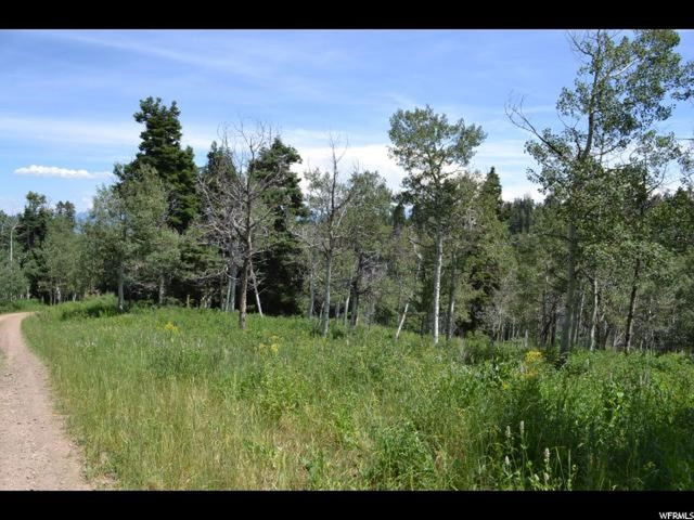 2103 Pine Loop #F42, Wanship, UT 84017 — photo 6