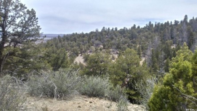 #31, Fruitland, UT 84027 — photo 5