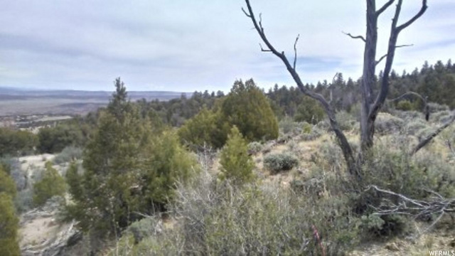 #31, Fruitland, UT 84027 — photo 9