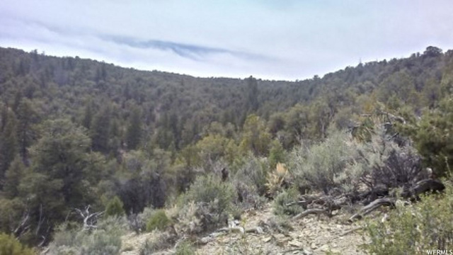 #31, Fruitland, UT 84027 — photo 4