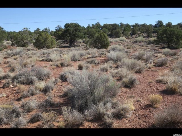 175 S Highway 12 St E, Torrey, UT 84775 — photo 4