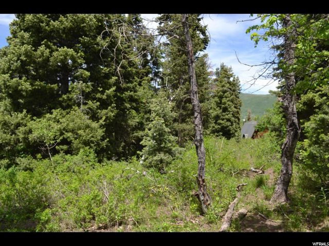 926 Deep Forest Rd #157, Wanship, UT 84017 — photo 5