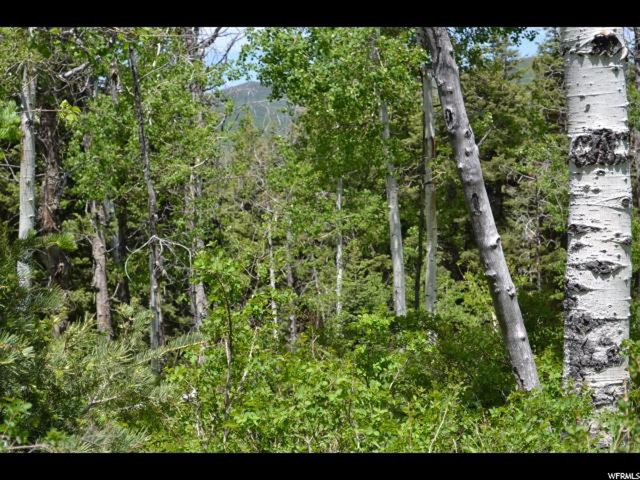 926 Deep Forest Rd #157, Wanship, UT 84017 — photo 3