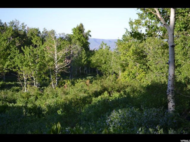 926 Deep Forest Rd #157, Wanship, UT 84017 — photo 9