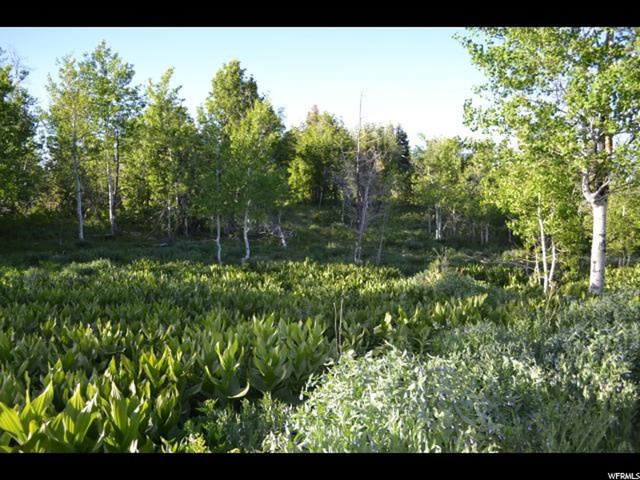 926 Deep Forest Rd #157, Wanship, UT 84017 — photo 2
