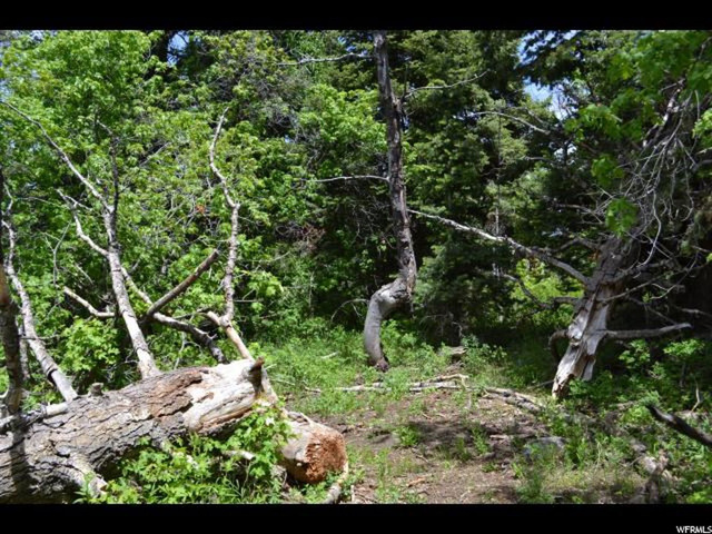 926 Deep Forest Rd #157, Wanship, UT 84017 — photo 4